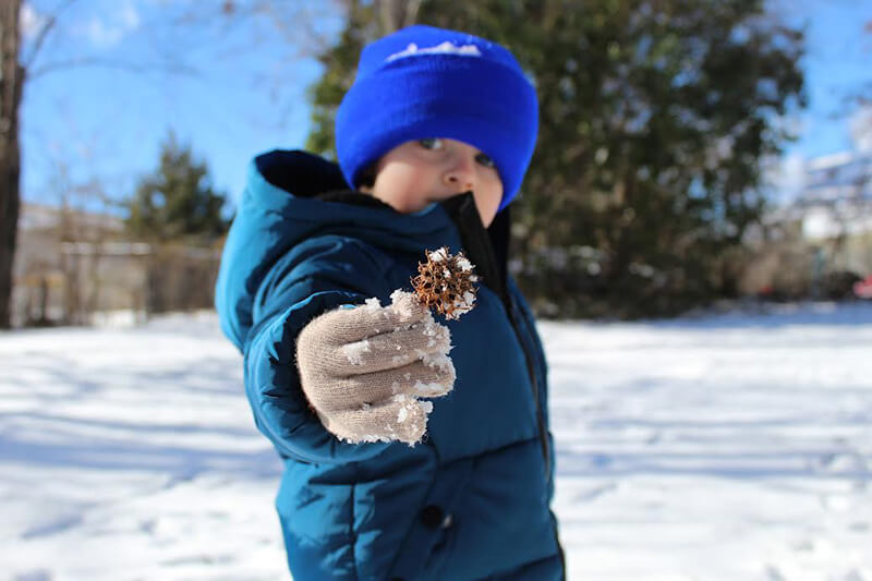 images from the 2025 photography show