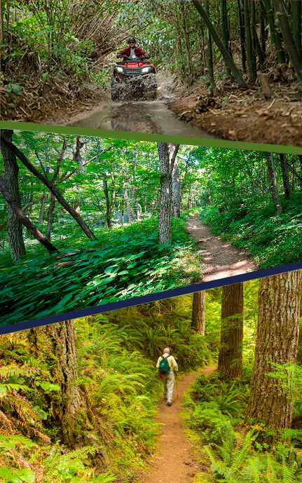 Outdoor Economic Development