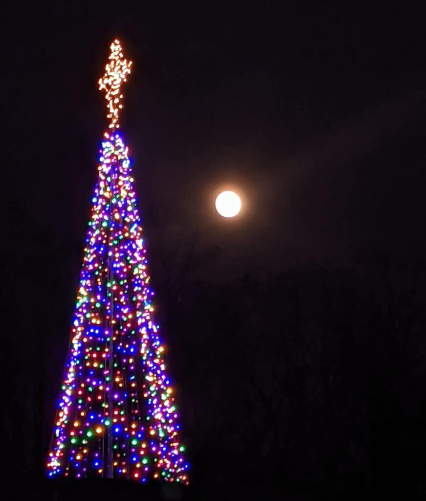 View of the 2022 tree with the moon in the background