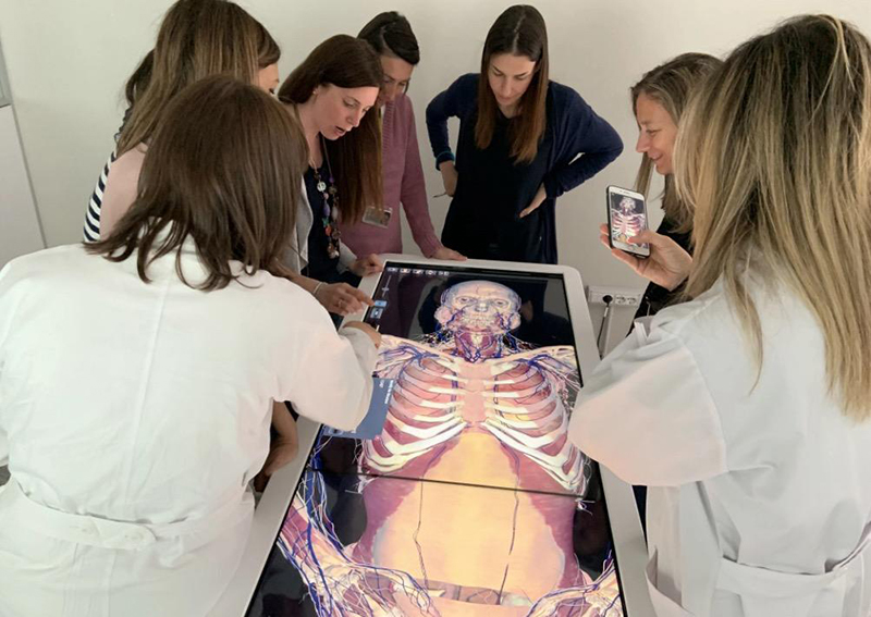 Anatomage Simulation Table, described by the supplier as “…the most technologically advanced 3D anatomy visualization system for anatomy education.”